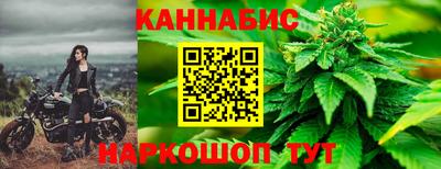 мяу мяу мука Пенза