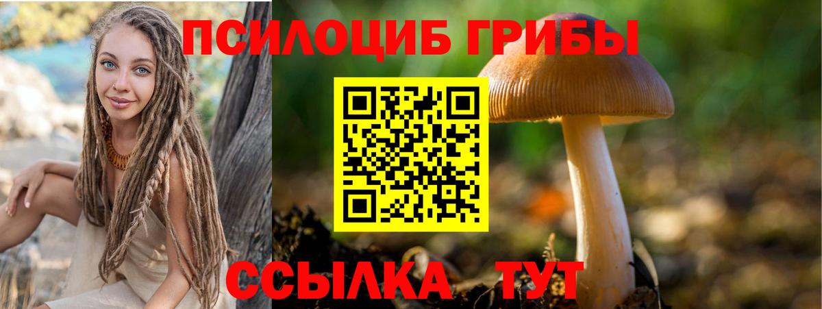 Псилоцибиновые грибы Cubensis  Вход с VPN  Нововоронеж  Галлюциногенные грибы Cubensis 